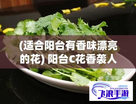 (适合阳台有香味漂亮的花) 阳台C花香袭人，怎样打造温馨卧室C与梦幻厨房的完美过渡空间：探索设计与功能的结合